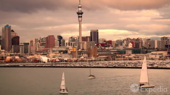 Auckland Vacation Travel Guide _ Expedia