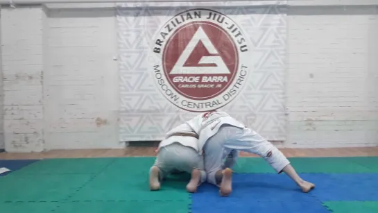 Работа из черепахи. Команда Gracie Barra Moscow