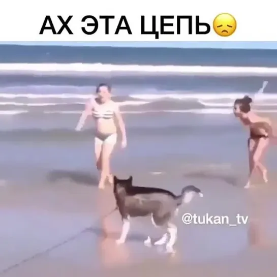 Видео от На позитиве