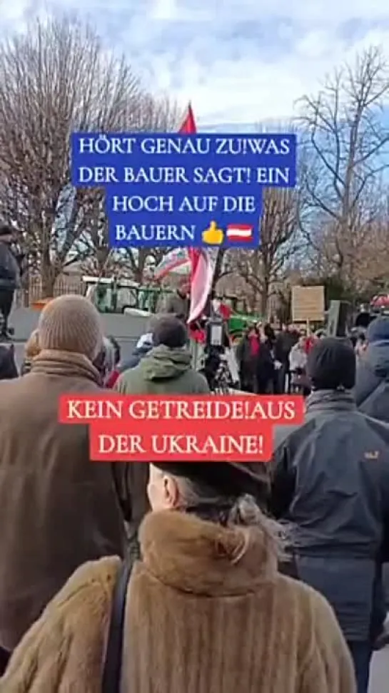 Видео от Karl Schreiber