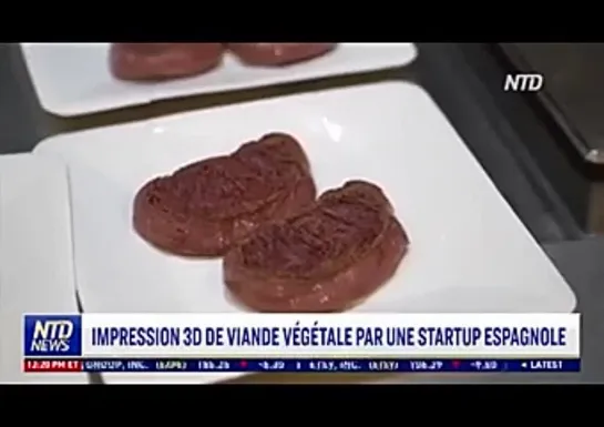 Une imprimante 3D qui fait des steaks hachés végétariens...!