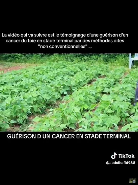 SUR UNE GUÉRISON DE CANCER...