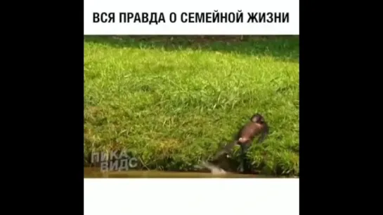 Вся правда о семейной жизни