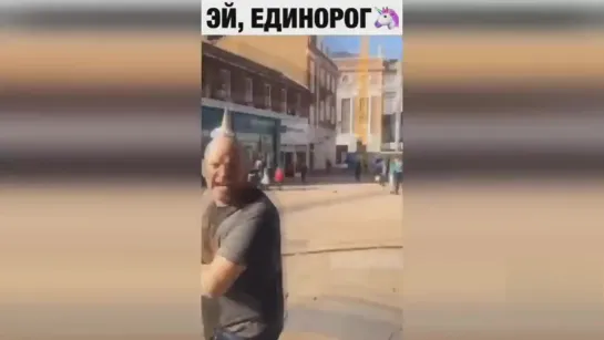 Единорог