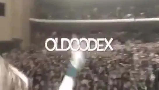 OLDCODEX "they go, Where?" in Aichi