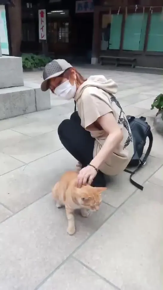 Kimeru and the kitten