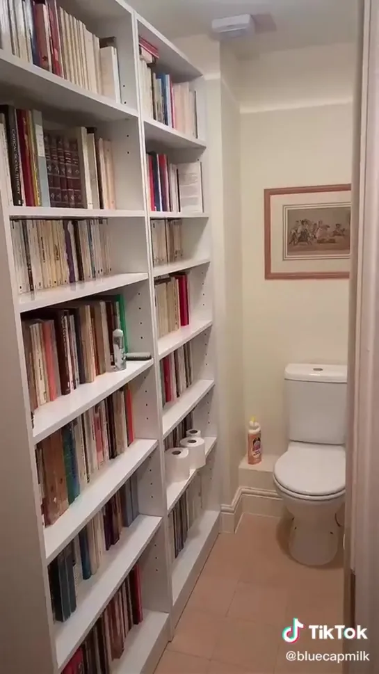 finally a house with the correct amount of books in it