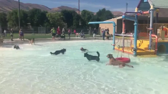 oh my goodness now this is a pool party I wouldn’t mind attending