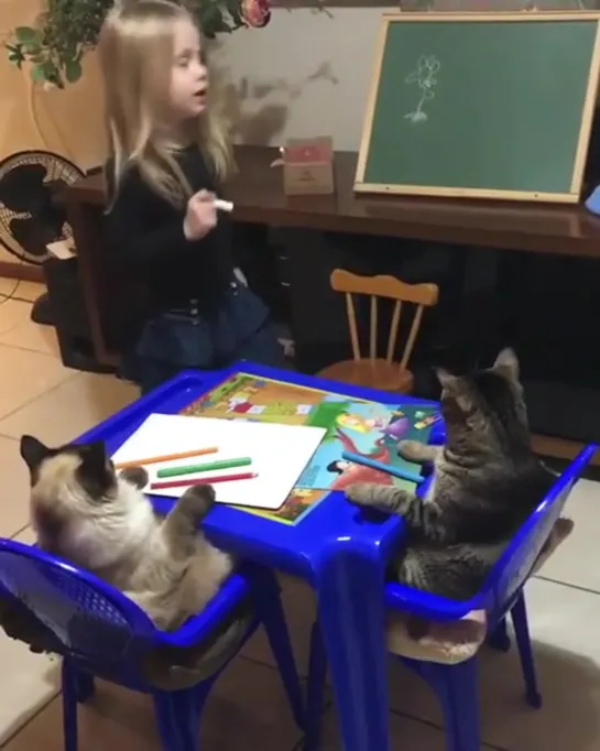 little girl teaching her cats how to draw a flower