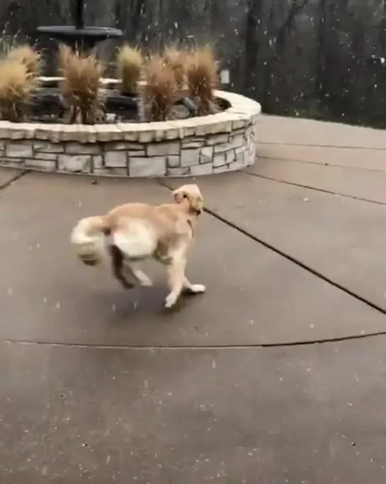 archer’s first time seeing snow