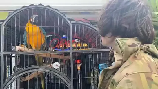 Singing a duet with a parrot