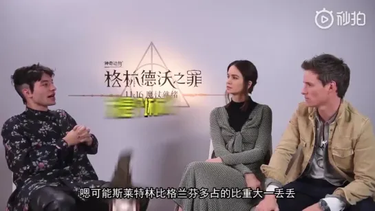 Fantastic Beasts Interview