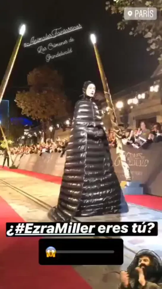 Fantastic Beasts Paris Premiere