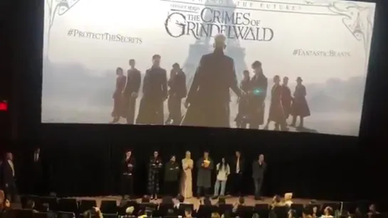 Fantastic Beasts New York Screening