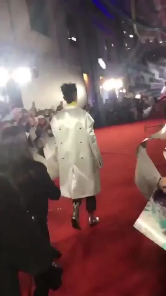 Fantastic Beasts Beijing Premiere