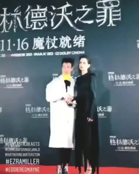 Fantastic Beasts Beijing Premiere