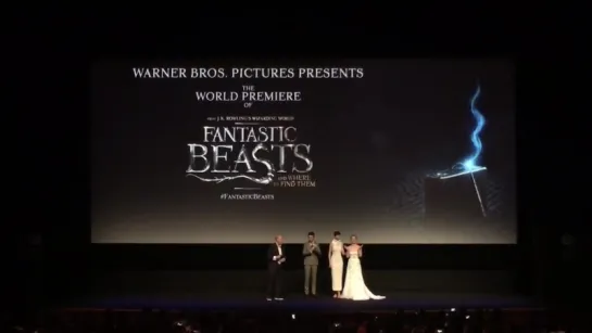 David Yayes introduces Eddie Redmayne, Ezra Miller and the #FantasticBeasts principal cast at the world premiere.