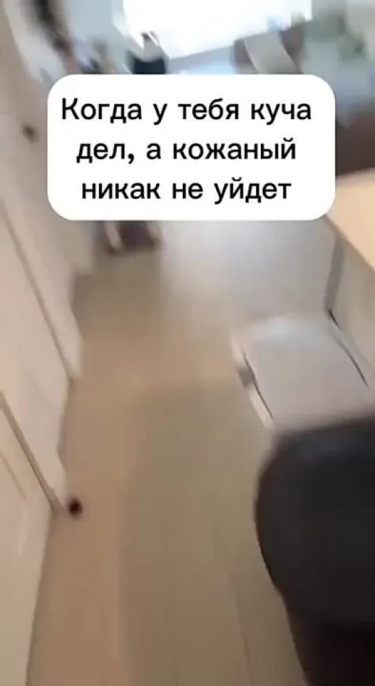 Куча дел