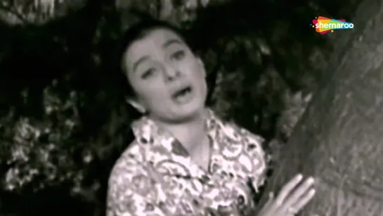 Baag Mein Kali Khili - Chand Aur Suraj (1965)