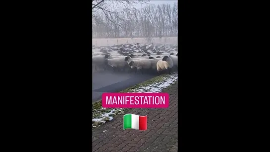 Mobilisation Générale des agriculteurs italiens