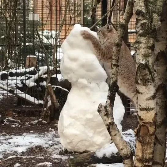 Видео от Удивительный мир