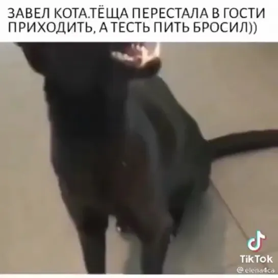 Видео от РУССКИЙ БОЛТ