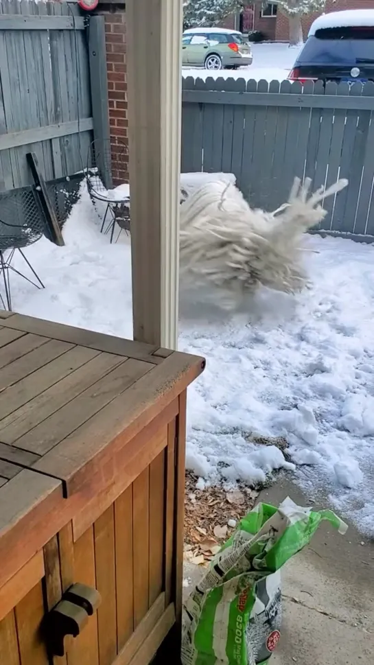 Видео от РУССКИЙ БОЛТ