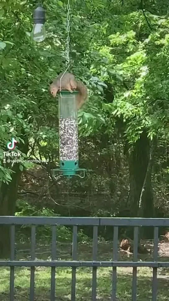 Видео от Центр событий