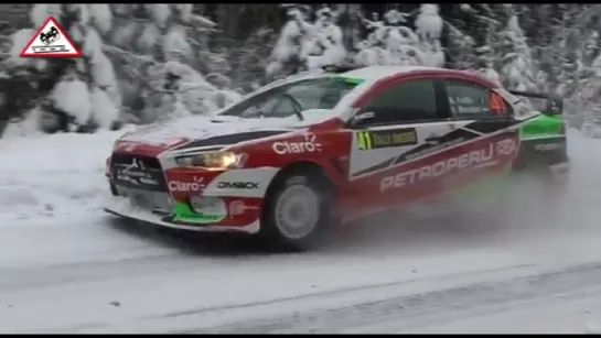 Rally Sweden 2013 the best