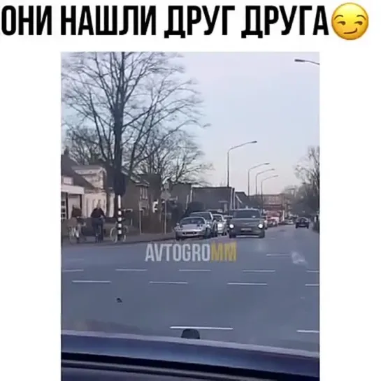 Они нашли друг друга