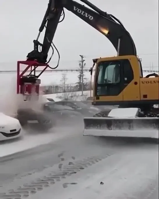 Всем бы такой во двор