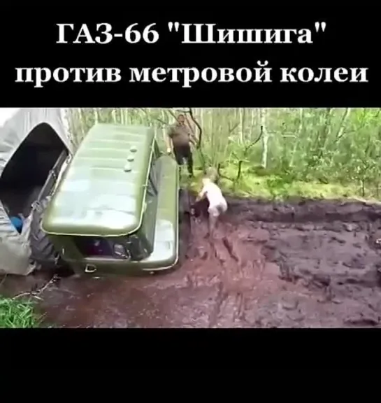 ГАЗ 66 Шишига