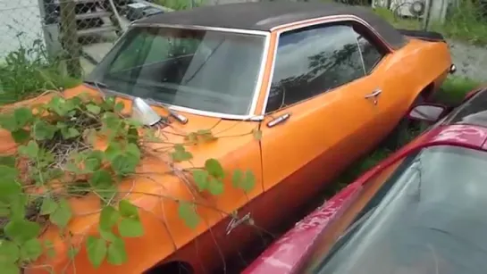 Abandoned in Japan_ An American Muscle-car graveyard