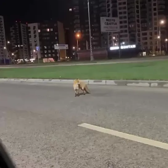 Видео от Александра Аксёнова