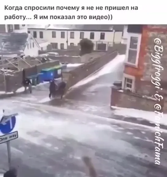 Видео от Мани Мяус