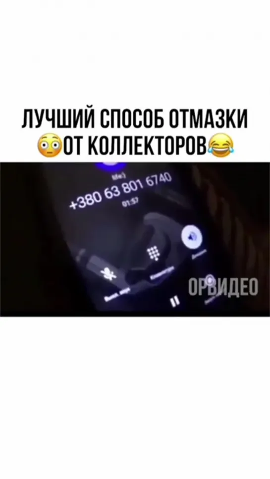 Малафей и Коллекторы 😆