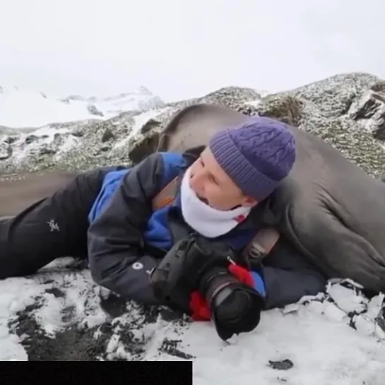 Видео от Дикая планета