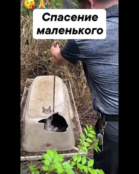 Видео от Дикая планета