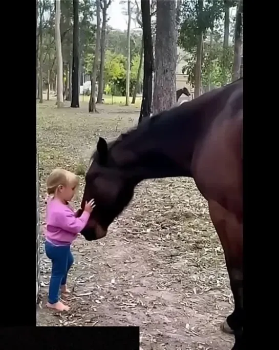 Какая красота, любовь и грация!!!👏👏👏