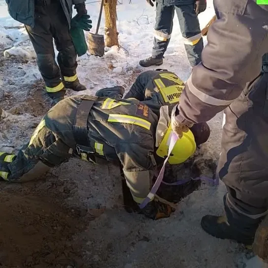 Видео от Дикая планета