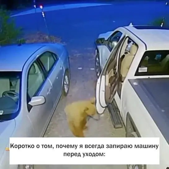 Видео от Охотник