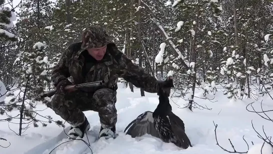 Видео от Охотник