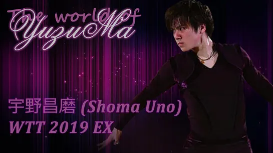 Shoma UNO EX 2019 WTT