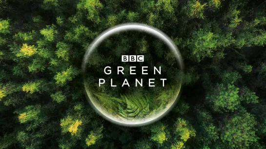 Зеленая Планета 2022 The Green Planet - Season 01 - Episode 05