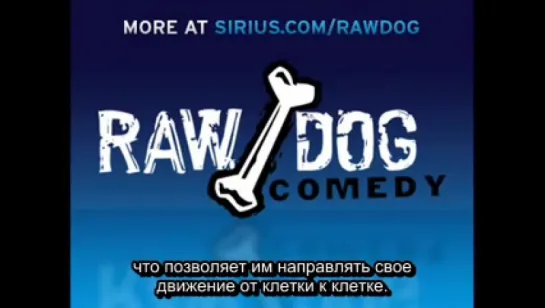 Weird Al Interviewed by Oscar the Cat  -- SiriusXM -- Raw Dog(RUS SUB)