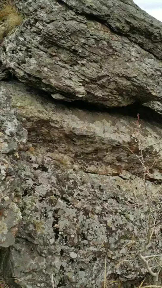 Видео от Сергея Туркова