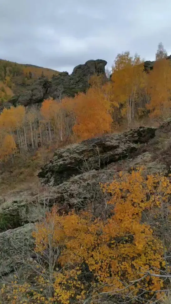 Видео от Сергея Туркова