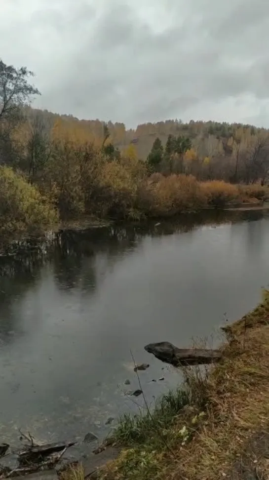 Видео от Сергея Туркова