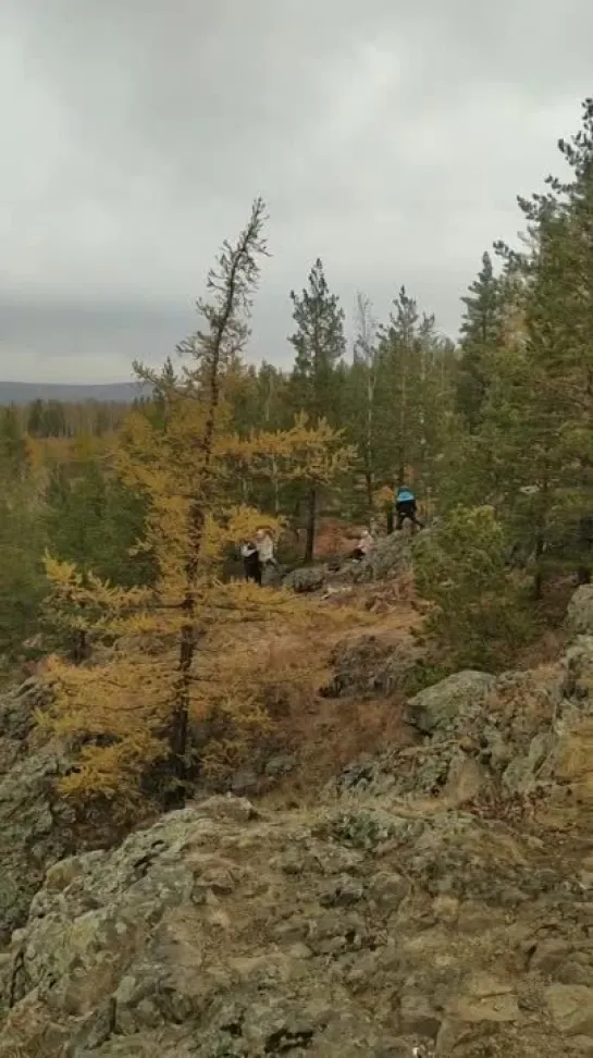 Видео от Сергея Туркова