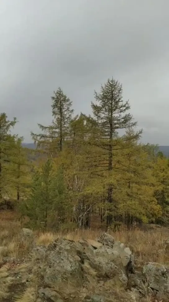 Видео от Сергея Туркова